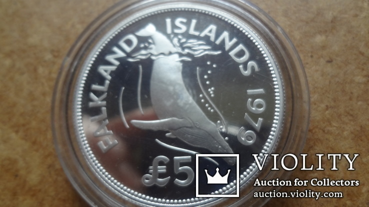 5  долларов  1979  Фольклендские острова  Киты  серебро, фото №3