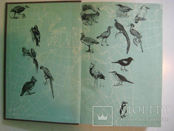 Комплект книг по орнітології, 4 шт., numer zdjęcia 4