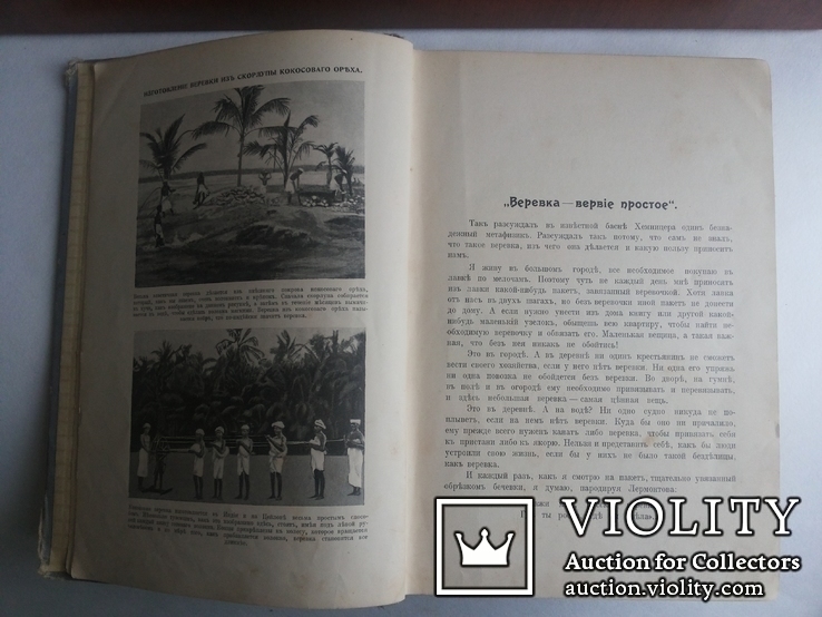 Детская энциклопедия 1913 т 3 изд т-ва Сытина, фото №5