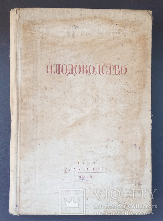 Плодоводство И. И. Курындин, В. В. Малиновский, А. Н. Веньяминов, И. В. Белохонов, фото №3