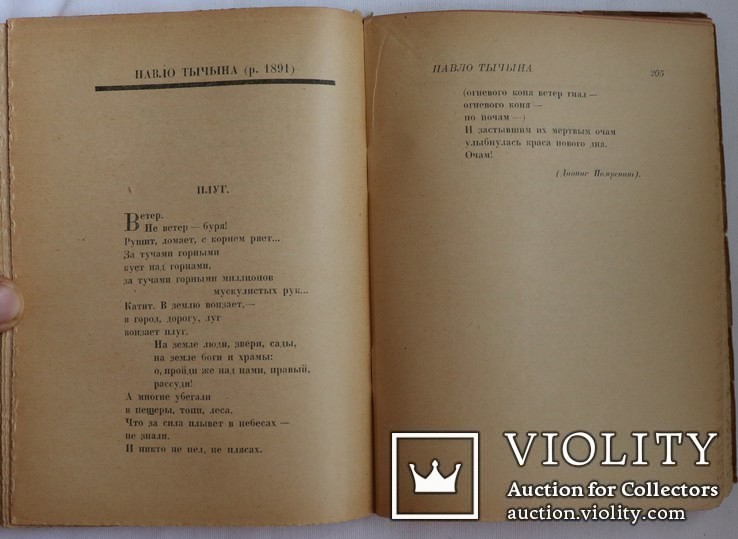 "Антология украинской поэзии в русских переводах" (1924). Від Котляревського до Зерова, фото №10