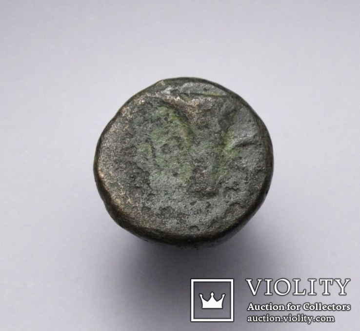Еоліда, м.Кіми (Кіма), 350-250 до н.е. – орел / скіфос, фото №11