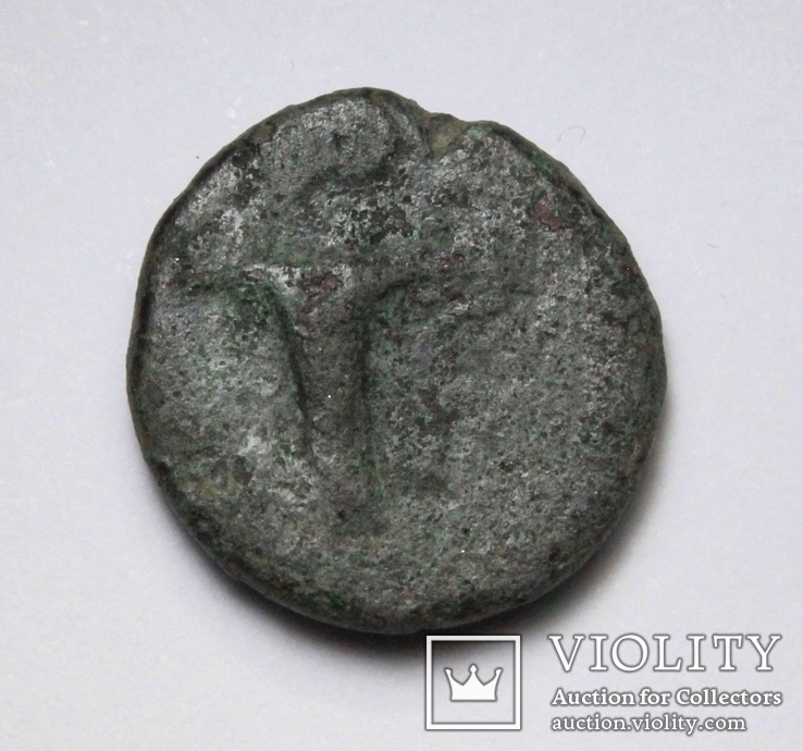 Еоліда, м.Кіми, IV-III ст.до н.е. – кінь / скіфос, фото №4