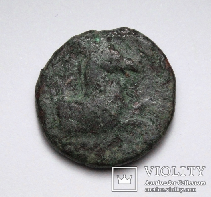 Еоліда, м.Кіми, IV-III ст.до н.е. – кінь / скіфос, фото №5