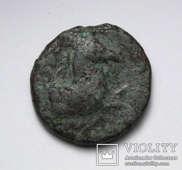 Еоліда, м.Кіми, IV-III ст.до н.е. – кінь / скіфос, фото №6