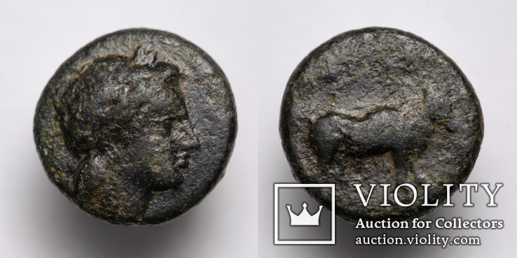 Еоліда, м.Лариса Фріконіс, IV ст. до н.е. – Аполлон / бик, фото №2