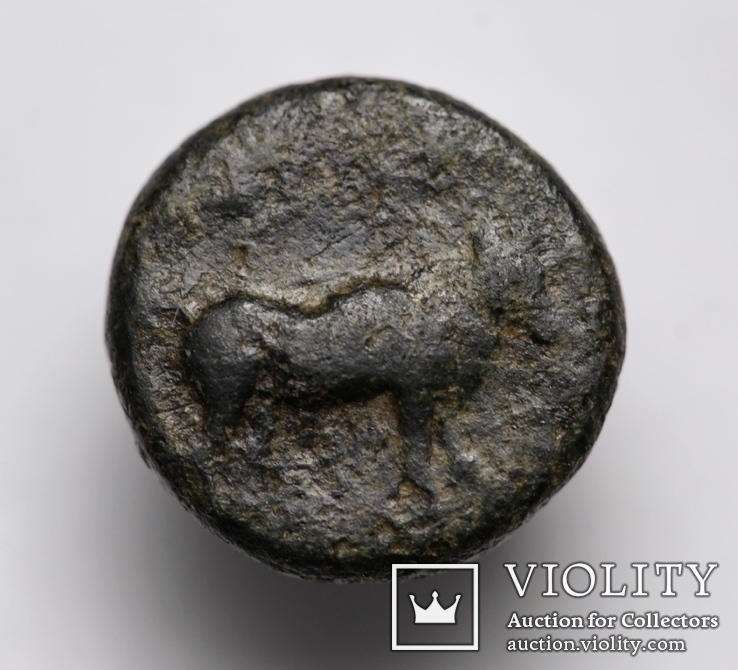 Еоліда, м.Лариса Фріконіс, IV ст. до н.е. – Аполлон / бик, фото №6