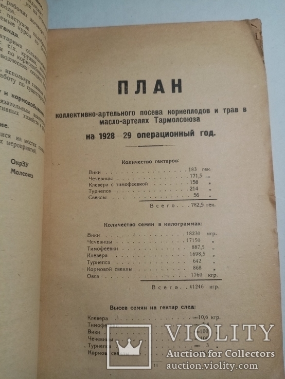 План проведению мероприятий по молочному скотоводству и маслоделию 1928-29 гг., фото №8