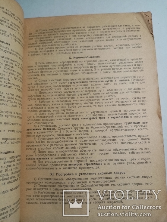 План проведению мероприятий по молочному скотоводству и маслоделию 1928-29 гг., фото №9