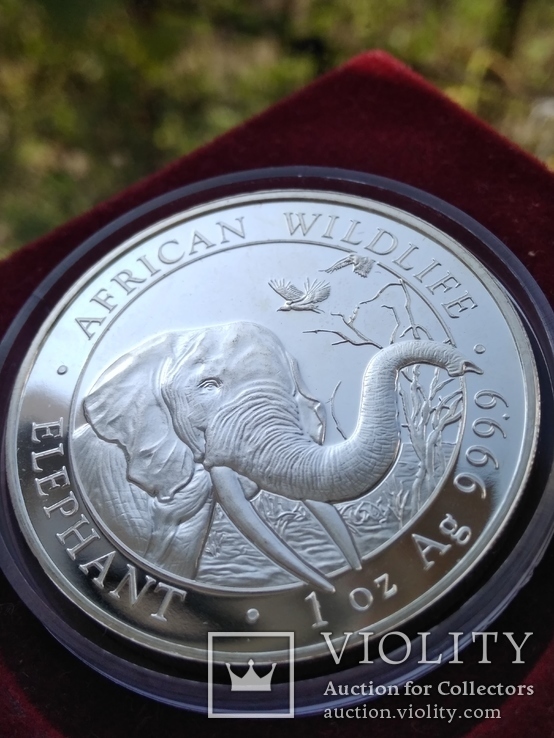 Слон Сомали 100 шиллингов  2018 г. 1oz 999.9 пробы унция Африканский слон, фото №4