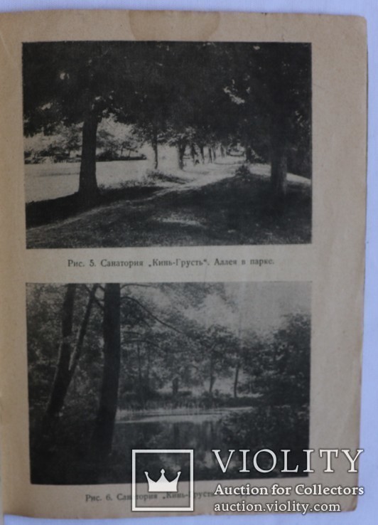С. Хайкіс, "Окрестности Киева как климатический курорт" (1929). Автограф, фото №2