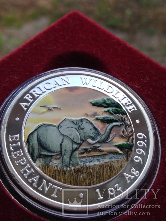 Слон Сомали 100 шиллингов 2019 г. 1oz 999.9 пробы унция Африканский слон, фото №2