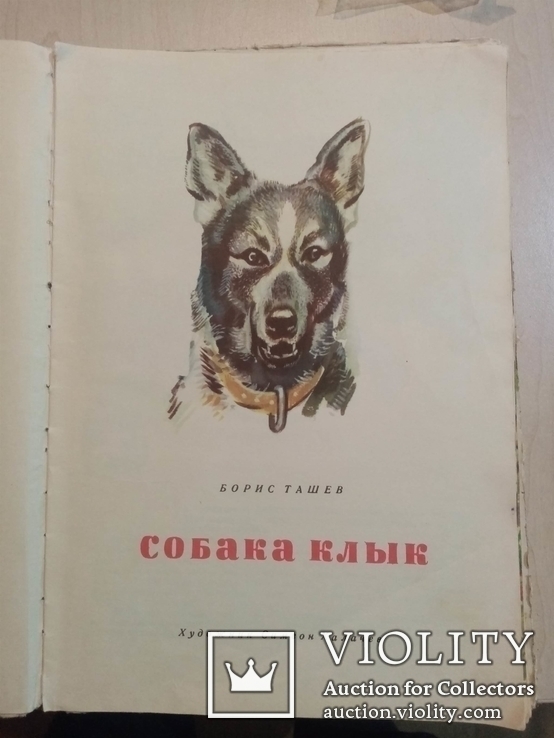 Собака Клык 1966 г, фото №2