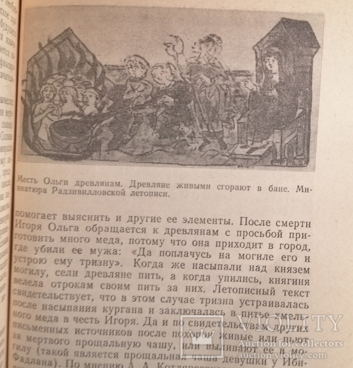 Книга Мифологический мир древних киевлян. Я.Е. Боровский 1982р. Тираж 25000, фото №10