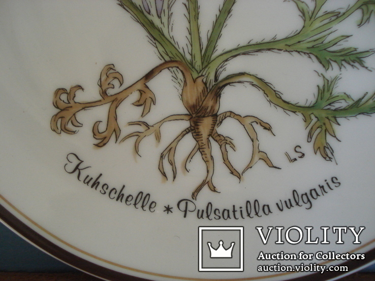 Коллекционная декоративная тарелка "Из любви к природе" Rosenthal., фото №9