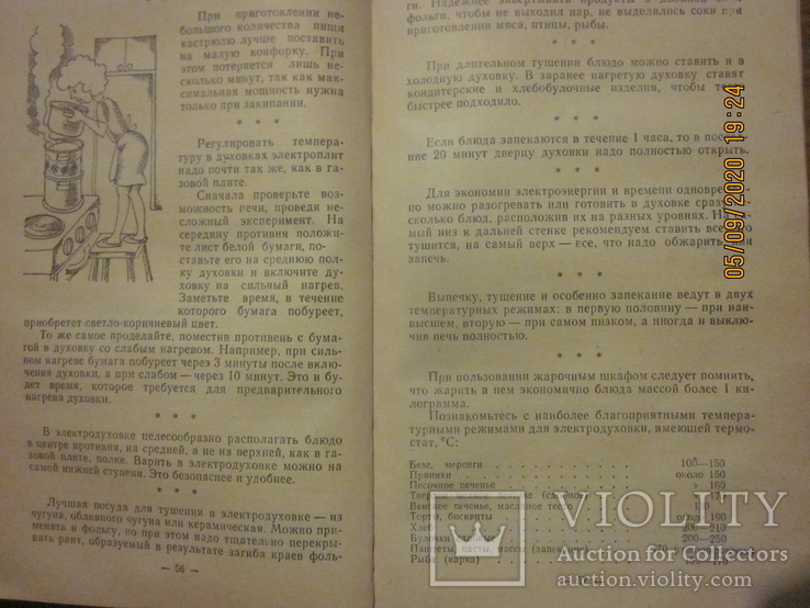 Книги "Химия в быту","Как стать хозяином ?", фото №10