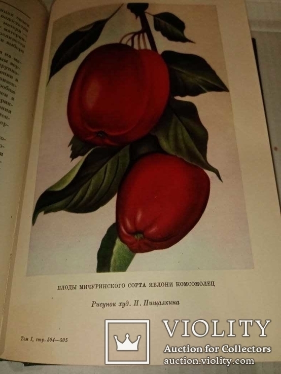 Научные труды Ивана Мичурина,2 тома.Состояние новых, фото №13