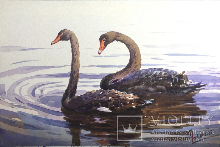 Картина «Чорні лебеді». Микитенко Віктор