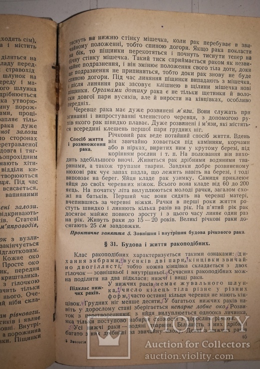 М. Я. Цузмер 'Зоология' 1941г., фото №10