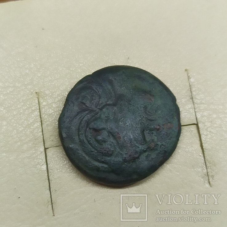 Монета Пантикапей (2), фото №9