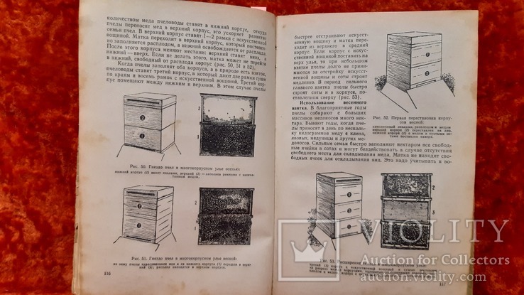 Пчеловодство  1965год (1076), фото №6