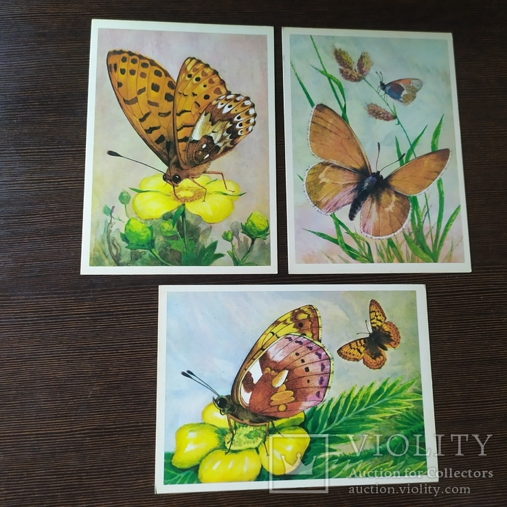 Комплект открыток 1982 Бабочки. 15шт, фото №9
