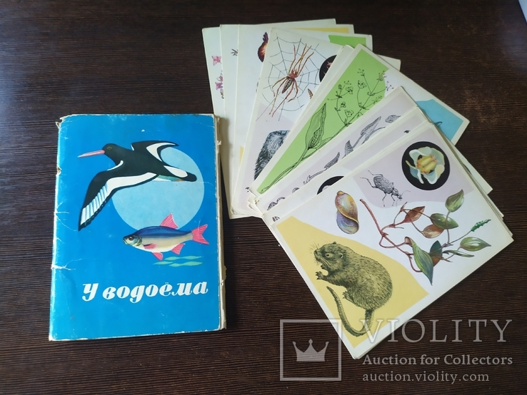 Комплект открыток 1978 У водоема. Животные, насекомые. 16шт, фото №2