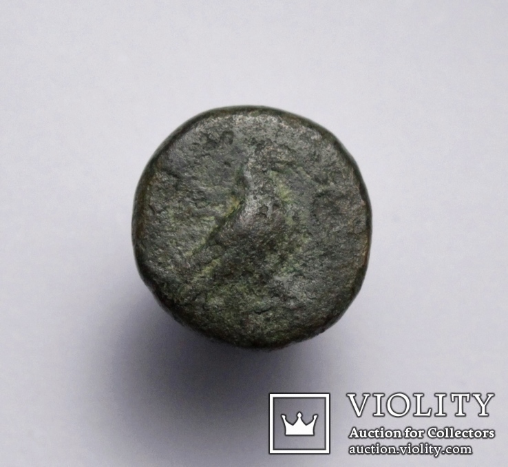 Еоліда, м.Кіми (Кіма), 350-250 до н.е. – орел / скіфос, фото №3