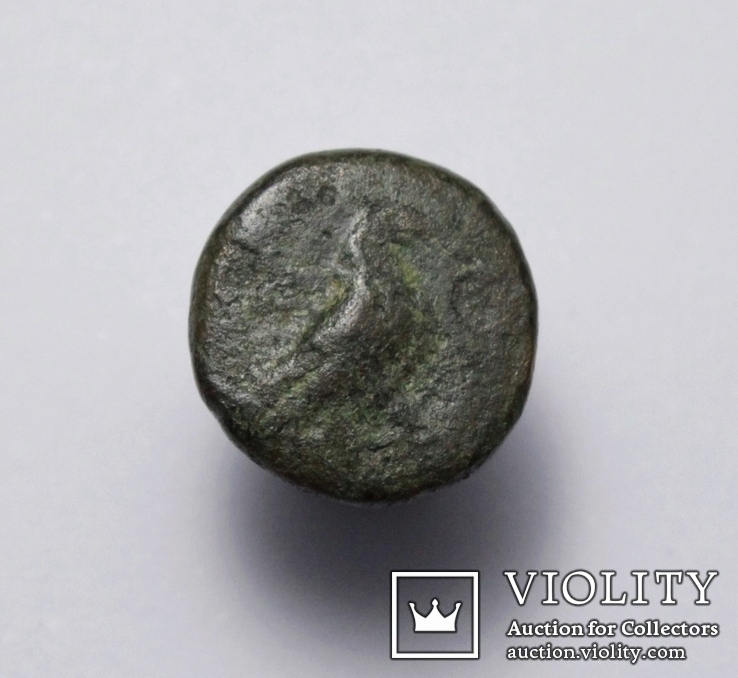 Еоліда, м.Кіми (Кіма), 350-250 до н.е. – орел / скіфос, фото №6