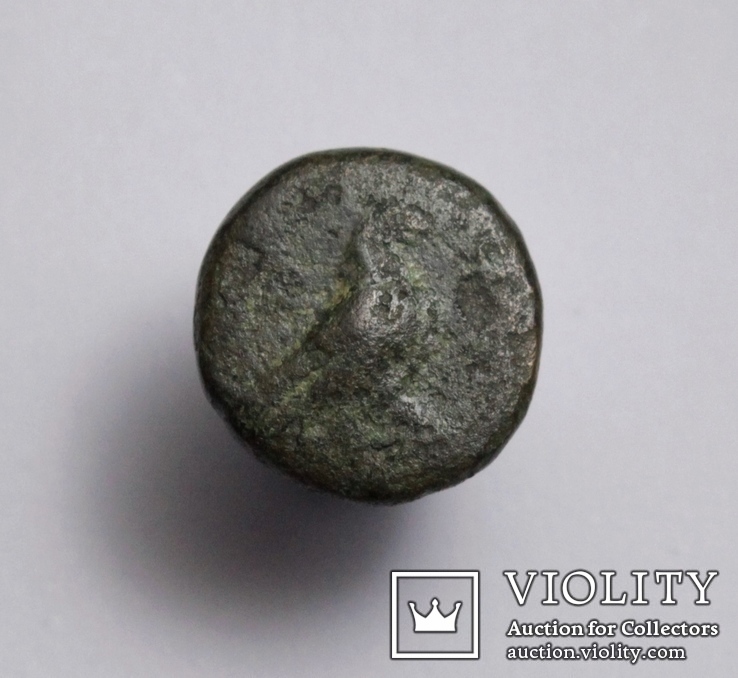 Еоліда, м.Кіми (Кіма), 350-250 до н.е. – орел / скіфос, фото №7