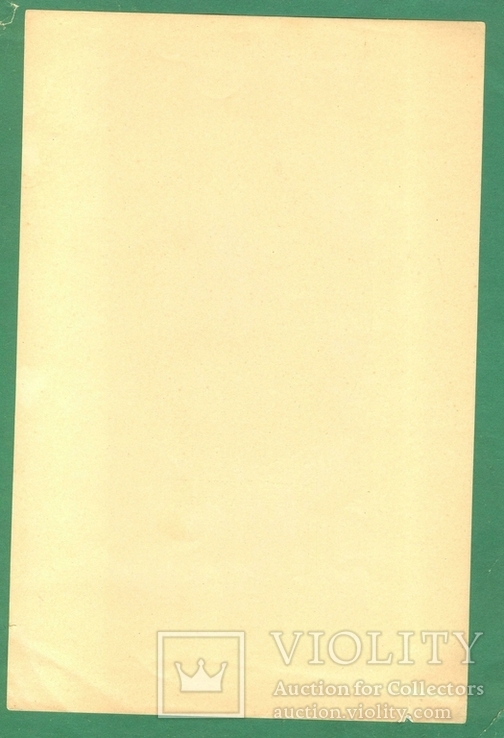 1903 р. Портрет В. Верещагіна, фото №3