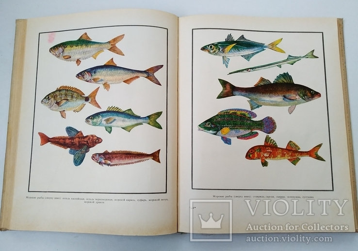 Настольная книга рыболова-спортсменаНастольная книга рыболова-спортсмена, фото №6