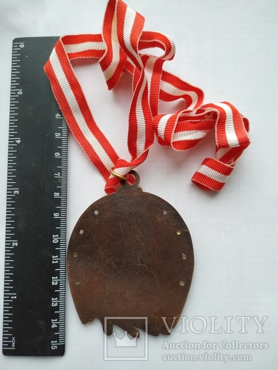 Медаль туристическая день похода 1978 года Абтенау Австрия, фото №3