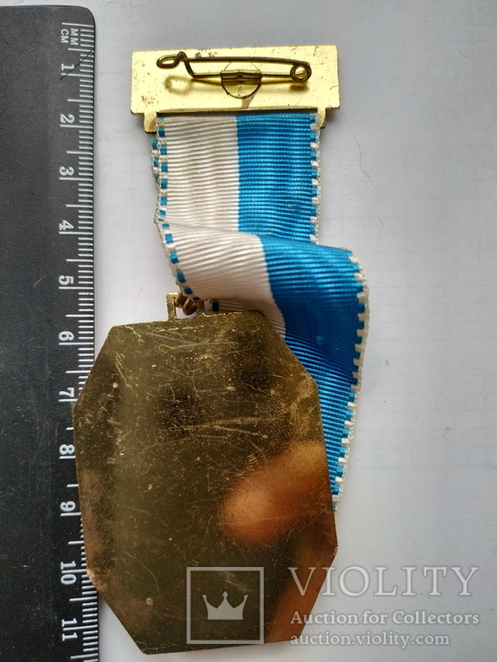 Медаль день похода 1974 год Дунай Австрия, фото №3