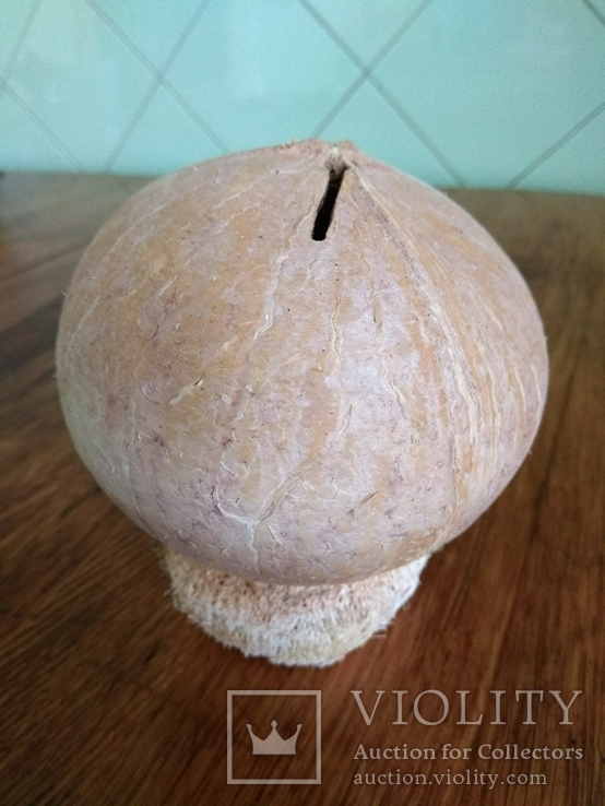 Копилка с кокоса., фото №2