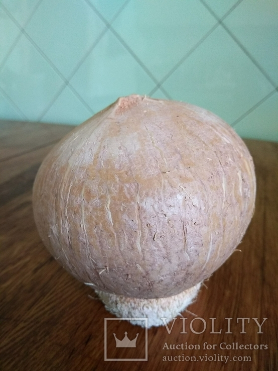 Копилка с кокоса., numer zdjęcia 6
