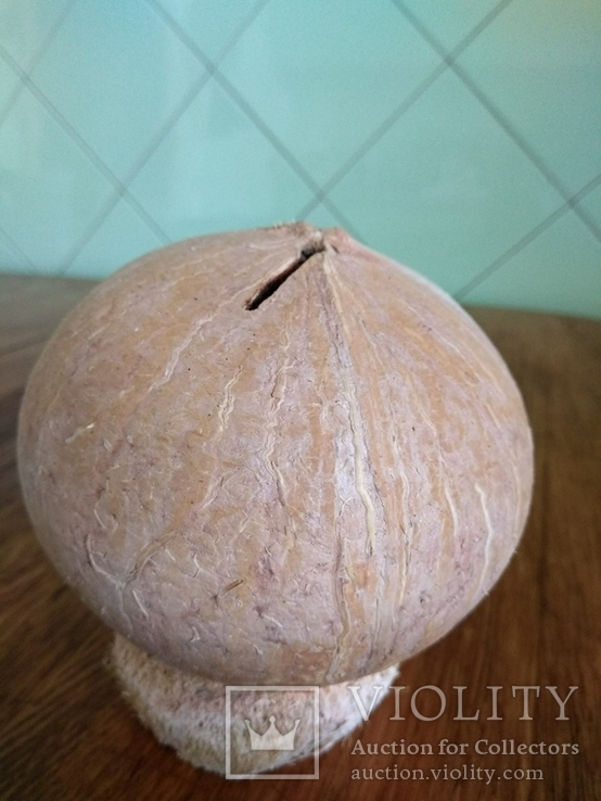 Копилка с кокоса., фото №7
