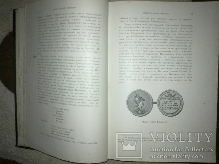 1903 г. История русской словесности П.Полевой - 1000 иллюстраций, фото №11
