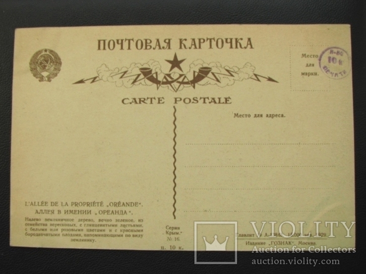 Открытка Крым Аллея в Ореанде 1929 год, фото №3