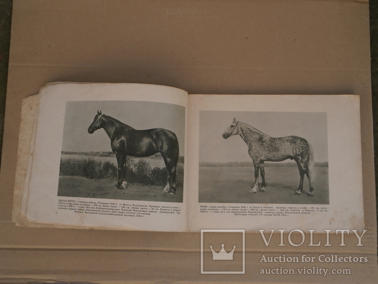 "Породы лошадей" 1956 год. тираж: 35000 экз., фото №10