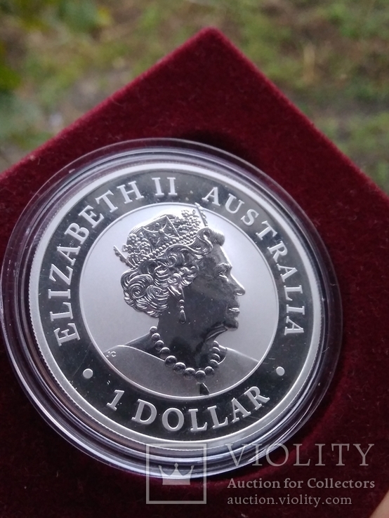 Клинохвостый орел 2019 г  1 доллар Австралия Орел - клинохвост унция 31,1г  серебро 999, фото №3
