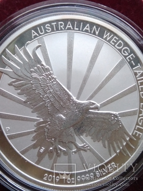Клинохвостый орел 2019 г  1 доллар Австралия Орел - клинохвост унция 31,1г  серебро 999, фото №4