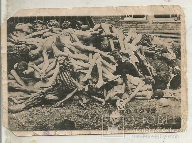 Концлагерь Дахау 1945 Трупы узников возле крематория Оригинальное фото 6х9 см  Подписанное