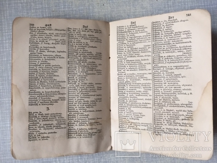 Польско - немецкий словарь 1899 год, фото №7