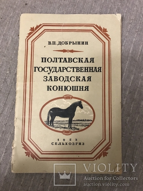 Полтавская Гос Заводская Конюшня, фото №3