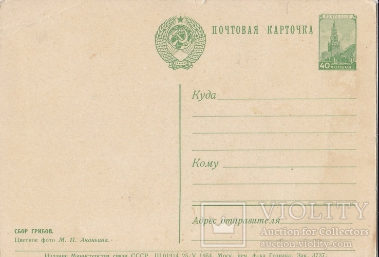 Сбор грибов /Почтовая карточка / 1954, фото №3