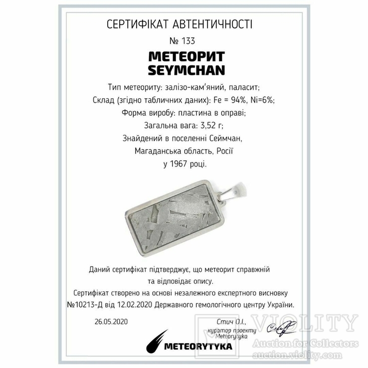 Кулон із залізо-кам'яним метеоритом Seymchan, із сертифікатом автентичності, фото №3