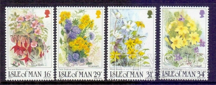 О-в Мэн 1987 цветы