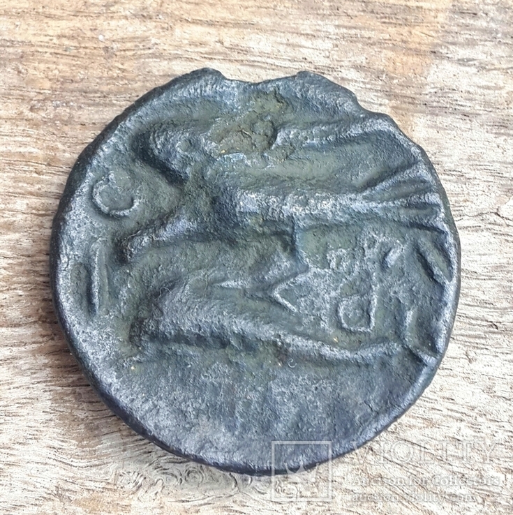 Ольвийский Асс, 400-х г.до н.э., Горгона–орел на дельфине, редуцированный (вес 16,73 г.), фото №9