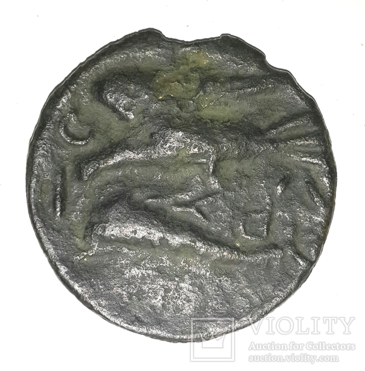 Ольвийский Асс, 400-х г.до н.э., Горгона–орел на дельфине, редуцированный (вес 16,73 г.), фото №11